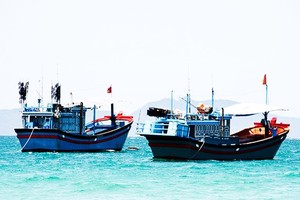 Deputy PM orders intensified handling of IUU fishing at sea, ports 