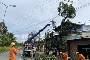 Electricity employees are clearing the corridors of power line routes in Quang Nam Province