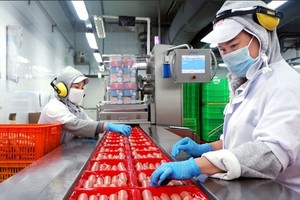 Employees of Vissan JSC. are processing orders for 2023 Tet holiday. (Photo: SGGP)