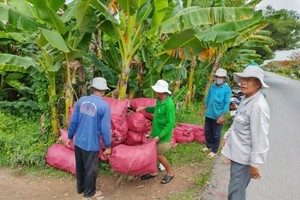 Mekong Delta farmers helped to treat packaging of plant protection drugs