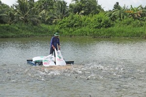 Livestock industry still depends on imported animal feed