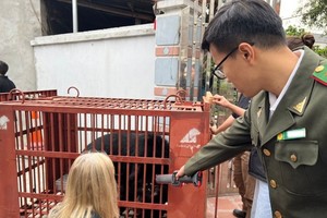 The rescuing activity with the collaboration of Hanoi Forest Protection Department