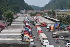 Container trucks waiting for customs clearance at a border gate in Lang Son Province. (Photo: TPO)