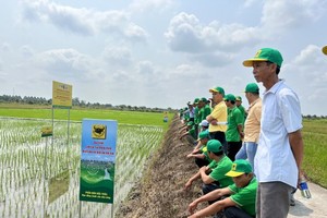 A smart rice field model for green growth by Binh Dien Fertilizer JSC.
