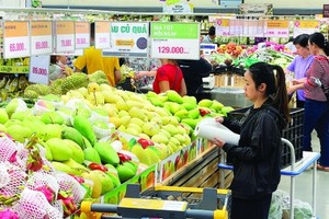 Domestic businesses striving to overcome technical barriers in exports