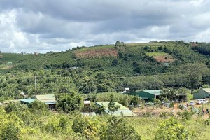 Encroached land in Quang Tam Industrial Cluster recovered