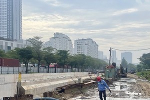 HCMC racing to disburse public investment capital 