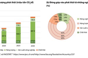 Vietnam sees huge potential for carbon credits from forest, agriculture, energy 