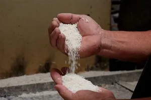 Vietnam should improve rice quality to maintain export values: expert