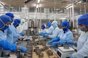 Enterprises in HCMC eagerly resume work after Tet holiday