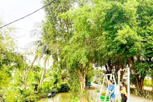 Local inhabitants are collecting waste along the canal on Pham Thi Tram Street in Binh My Commune of Cu Chi District (Photo: SGGP)
