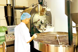 Rising raw coffee prices are causing difficulties for coffee processing businesses (Photo: SGGP)