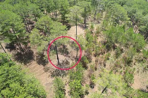 Drone devices can detect fallen dry trees (circled in red) from felled trees and capture the current status of the area 