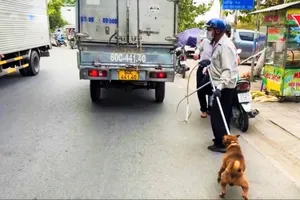The functional unit of Dong Nai Province is capturing stray dogs