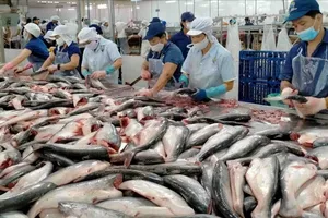 Seafood as one item in the list of billion-dollar export groups (Photo: VGP)