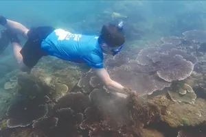 A dweller in Da Nang City is diving to the seabed near Son Tra Peninsula to pick up trash (Photo: SGGP)