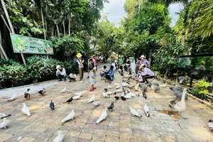 Tourists are experiencing a green space with different birds inside Dam Sen Cultural Park in District 11 (Photo: SGGP)