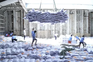 In 2024, rice export activities in Vietnam are expected to reap success