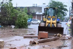 Government outlines support measures for typhoon-affected regions