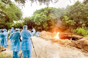 The functional agencies in Dong Nai Province are incinerating dead bodies of sick tigers and leopards in Vuon Xoan Eco-Tourism Area