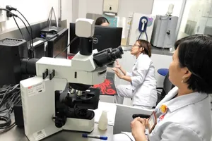 Stem cell research at the Blood Transfusion Hematology Hospital (Photo: SGGP)