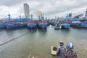 Many fishing vessels are parked at Hai Cang Ward of Quy Nhon City to shelter themselves away from storms
