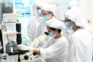 Students of Biotechnology, HCMC University of Science (VNU-HCM) in a practice class (Photo: SGGP)