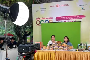 A livestream session of a business on an online platform (Photo: SGGP)