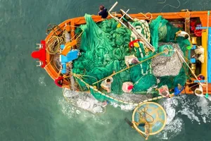Fishing vessels of Binh Dinh fishermen are filled with marine products (Photo: SGGP)