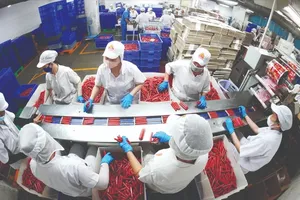 Sausage production line at Vissan Co (Photo: SGGP)