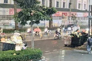 Waste collection vehicles are parked on both sides of the entrance to the SGGP Newspaper building in District 3 of HCMC (Photo: SGGP)