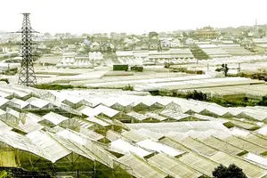 HCMC’s green index reveals mixed progress amidst national commitment