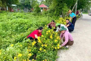 Residents are joining hands to clean up and plant trees in Phu An Ward (Photo: SGGP)