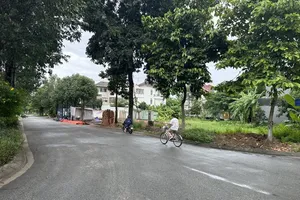 A residential area in Binh Hung Commune 