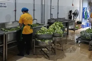 HCMC struggles with food safety due to personnel shortages, mechanistic hurdles