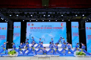 Khoảng 650 giáo viên tiểu học tham gia tập huấn võ tự vệ và võ nhạc Vovinam trong học đường. Ảnh: Quỳnh Mai