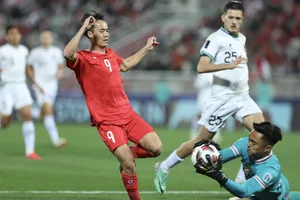 Đội tuyển Việt Nam vừa thua Indonesia ở Asian Cup 2023