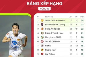 Bảng xếp hạng V-League 2023-2024 (vòng 12): Nam Định sớm vô địch lượt đi