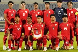 Đội tuyển U22 Indonesia