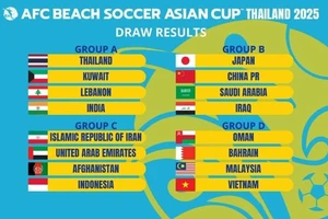 Việt Nam thuộc bảng D Giải bóng đá bãi biển châu Á 2025