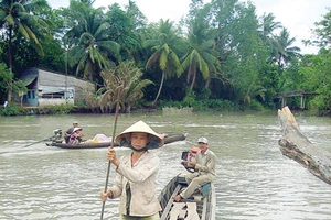 Người đưa đò trên kênh Sậy Níu