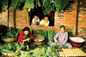 Tet Cakes from Tra Cuon village - a speciality