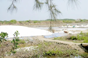 Ngày mới ở Cần Giờ