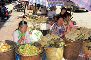 Những chiếc gùi nhấp nhô