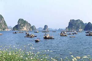 Ha Long to get public info computers