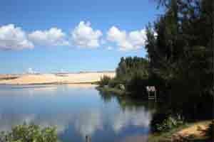 An oasis nestled in the lap of white desert sands