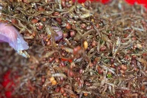 Người dân TPHCM hướng tới vùng lũ qua từng hũ mắm, bịch cá