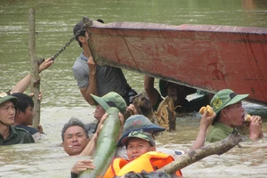 Vỡ đê, hàng trăm người dân trầm mình cứu lúa