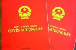 Bắt nguyên cán bộ Phòng TN-MT làm giả sổ đỏ vay gần 1 tỷ đồng