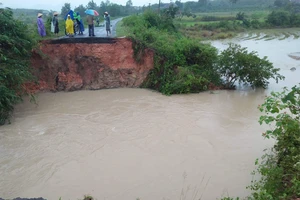 Đắk Lắk: Mưa lớn, hàng trăm nhà dân, hoa màu bị nhấn chìm